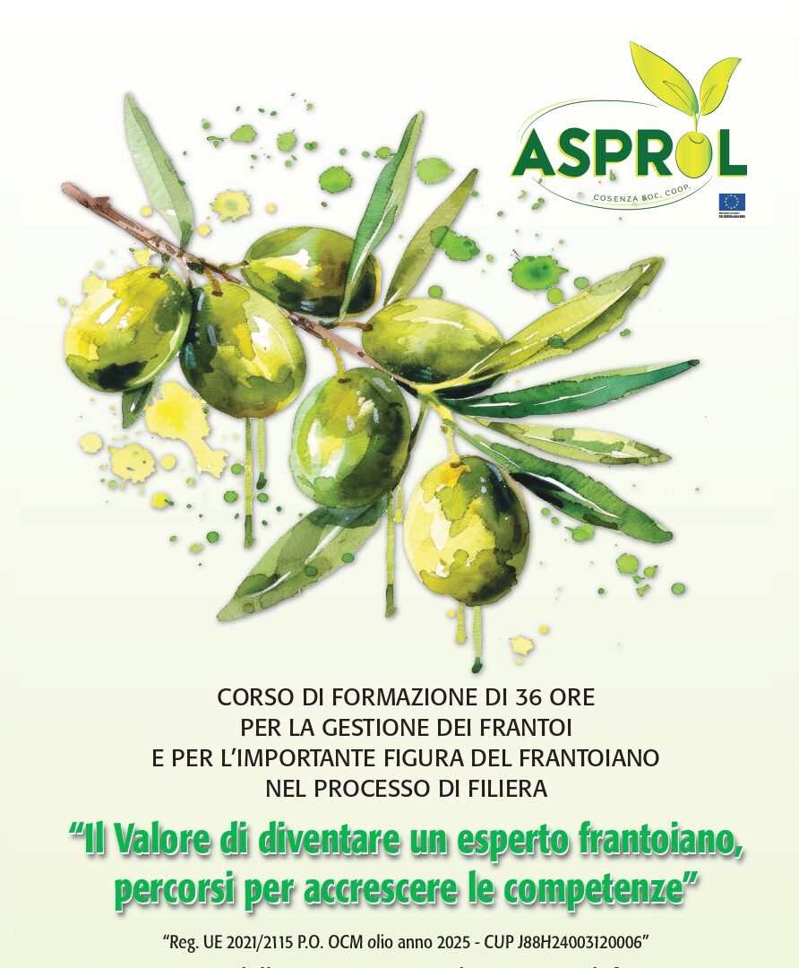 Il Valore di diventare un esperto frantoiano, percorsi per accrescere le competenze