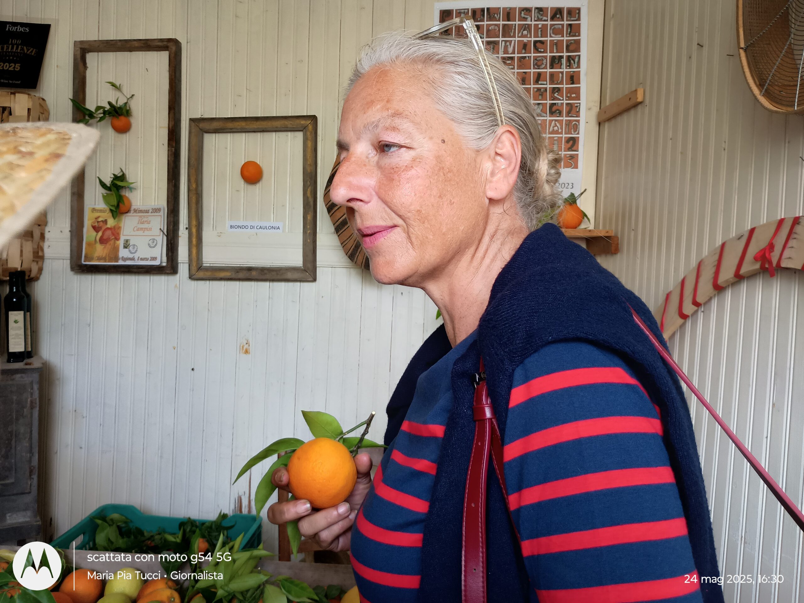 Missione: preservare la biodiversità. Da Caulonia il viaggio delle Arance secolari di Ilaria Campisi