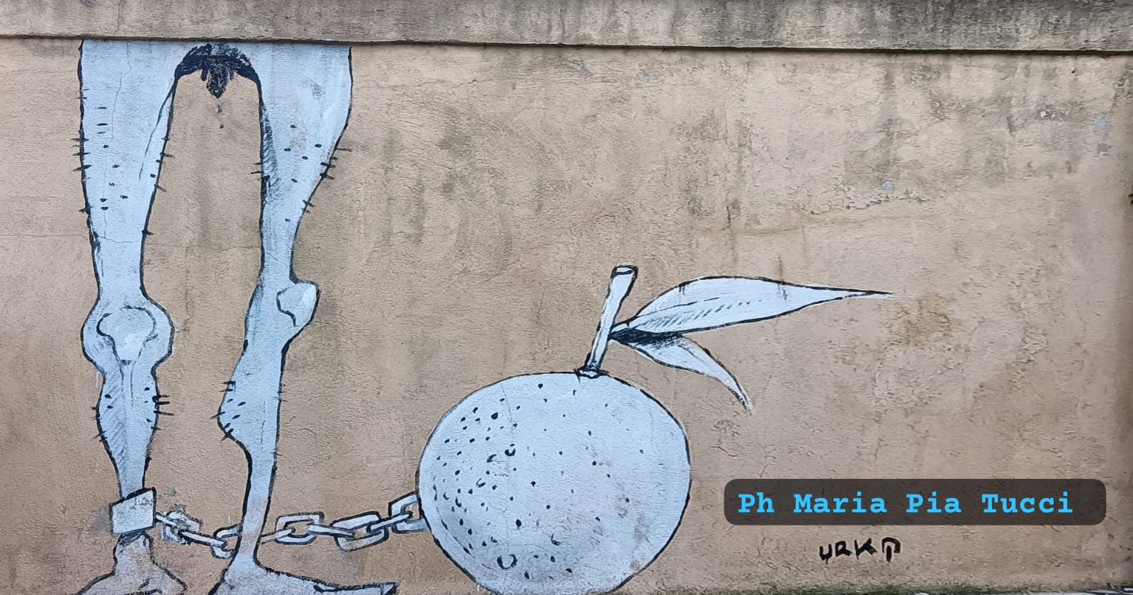 Lavoro dignitoso, equità e partecipazione per la trasformazione agroecologica delle aree rurali
