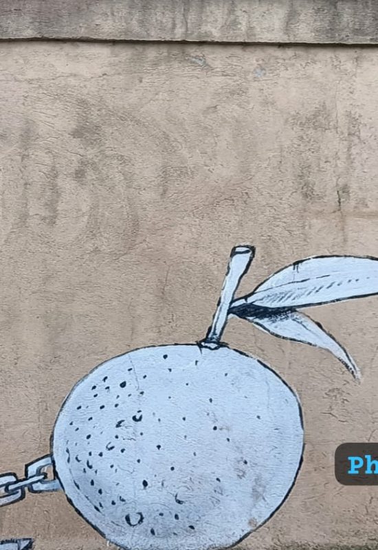 Lavoro dignitoso, equità e partecipazione per la trasformazione agroecologica delle aree rurali